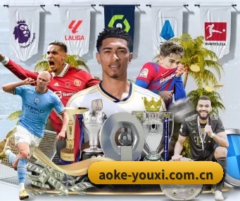 aoke APP